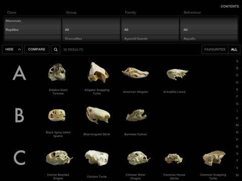 iPad Screenshots