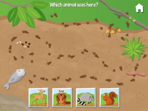 iPad Screenshots