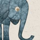 Edgerton the Elephant