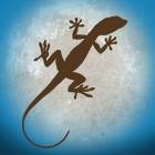 Lizard Island: Observation - Android Version