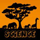 Animal Kingdom Science For Kids
