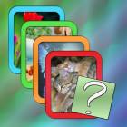 One Word and Four Pictures-Puzzle Game