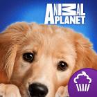 Animal Planet Hide & Seek Pets - Android Version