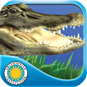 Alligator at Saw Grass Road - Android version